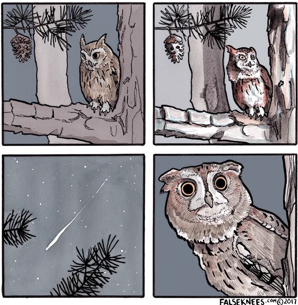 How...
https://t.co/WUyGHXoKmX 
#comic #falseknees #owl #webcomic #screechowl #shootingstar 