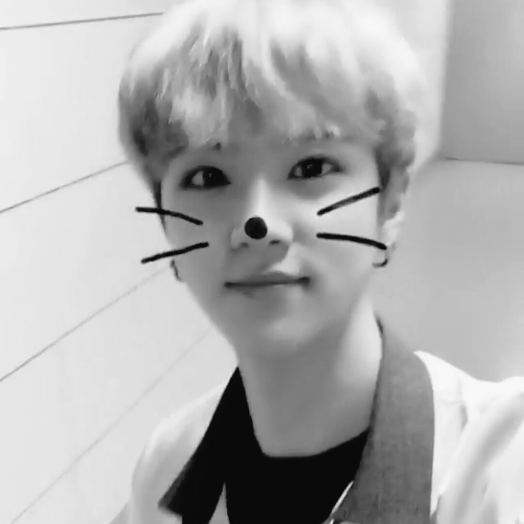 juyeons_'s tweet photo. we love cat filters ✨🐱

#pd101selcaday #produce101selcaday https://t.co/8r2ng2fl8A