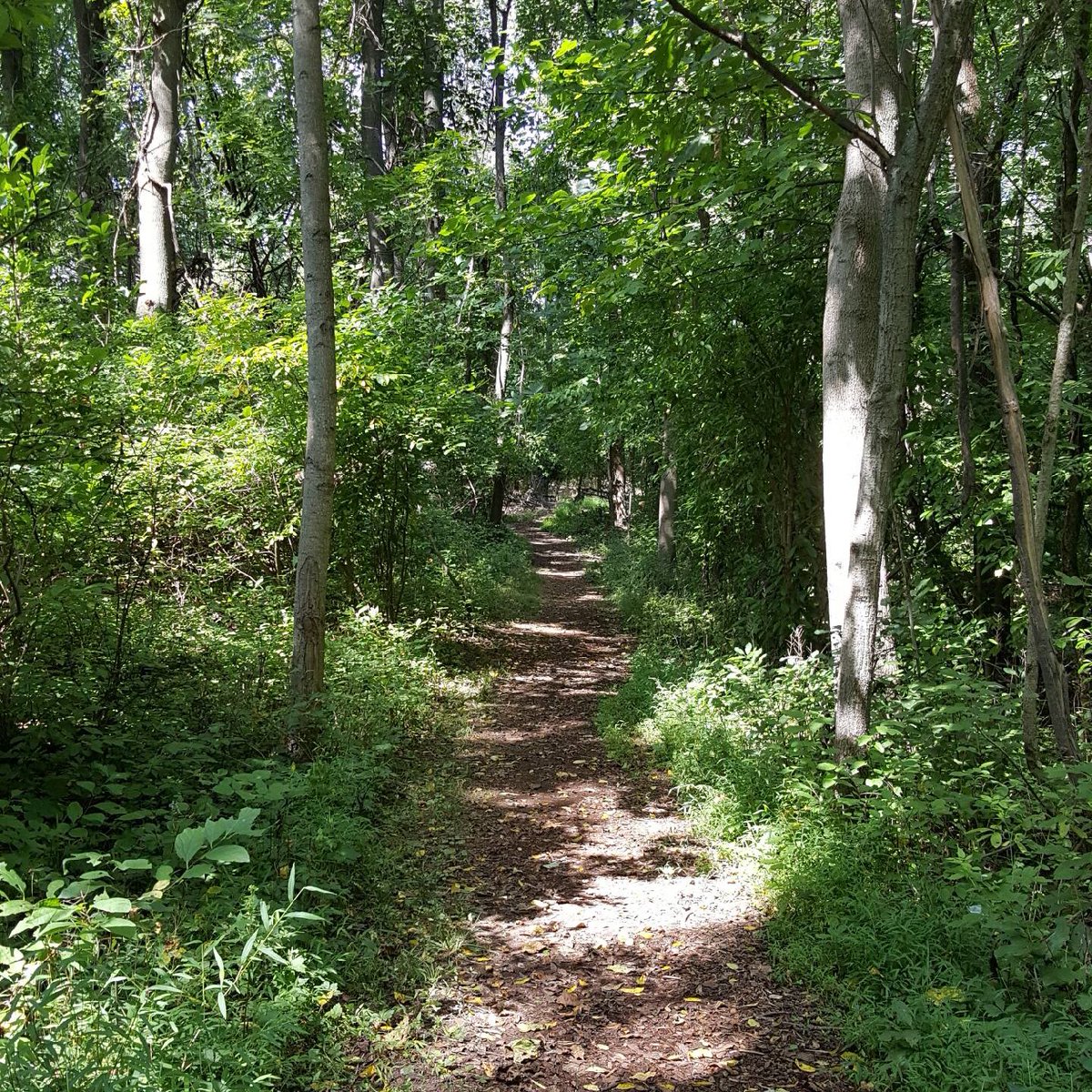 LehighValleyPA's tweet photo. .@wildlandspa provides the perfect setting for a late summer hike 🌎 https://t.co/RjjMeMxAdK