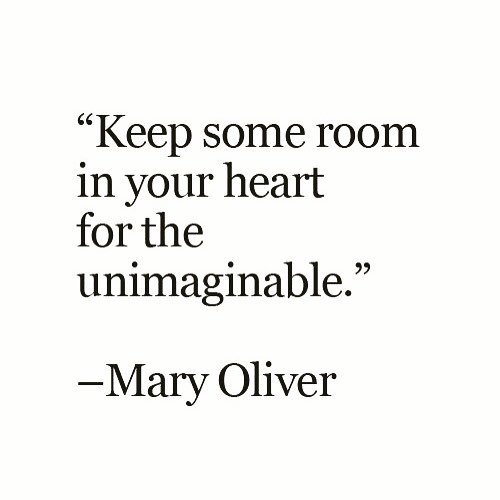 Happy Birthday to poet Mary Oliver ~ 