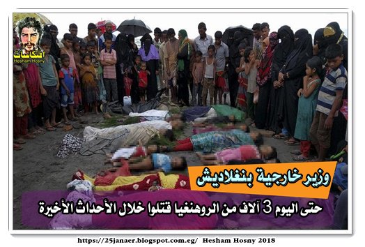 وزير خارجية بنغلاديش حتى اليوم 3 آلاف من الروهنغيا قتلوا خلال الأحداث الأخيرة