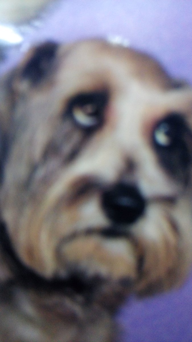 thymesmell's tweet image. твое лицо когда осознаешь что самый всратый на этой тусе