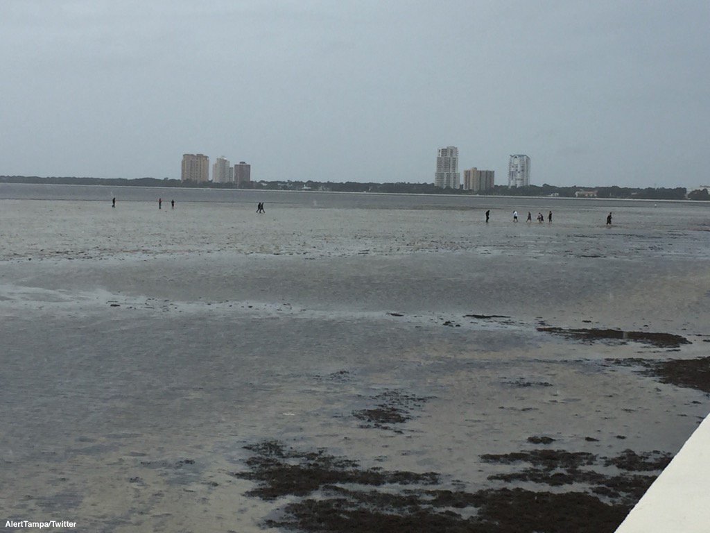 ABC's tweet photo. Tampa emergency management warns low waters around bay due to #Irma: "It is dangerous to be walking out there." https://t.co/50B31WQmok https://t.co/C2IUixVnjj