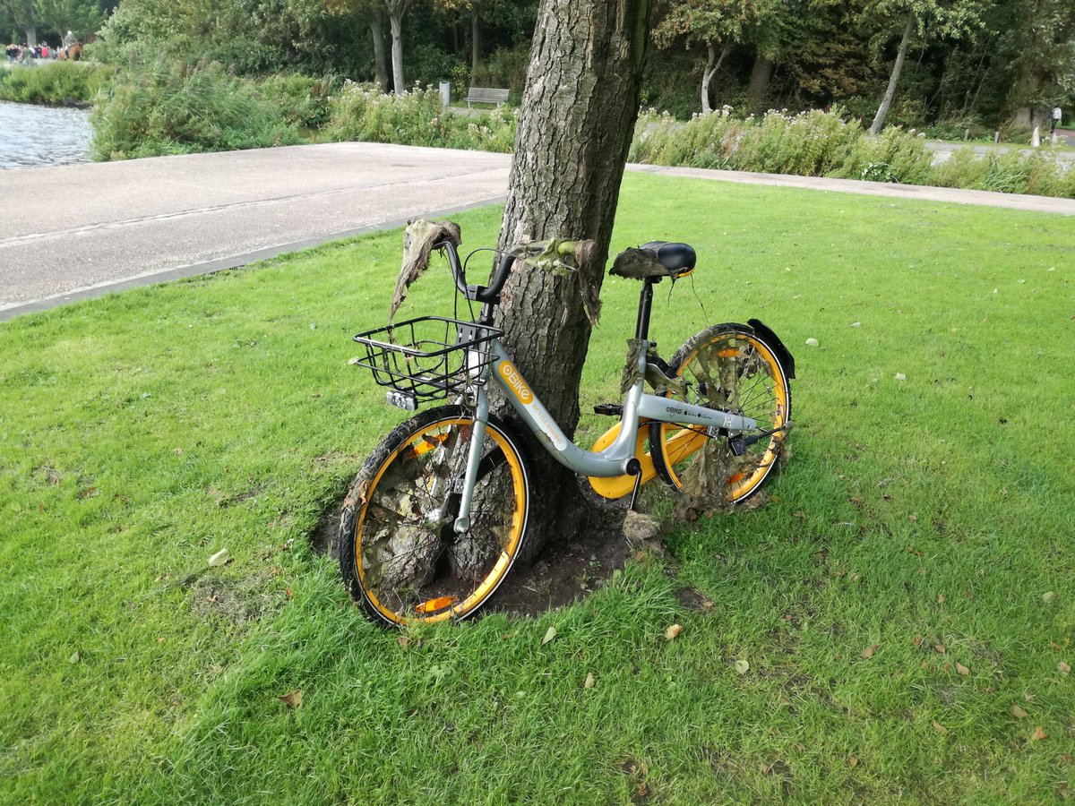 Hornis_W's tweet photo. Ze duiken ook overal op, die @deelfietsen #neerKWAKfietsen #kralingseplas https://t.co/KyNUY0GcFD