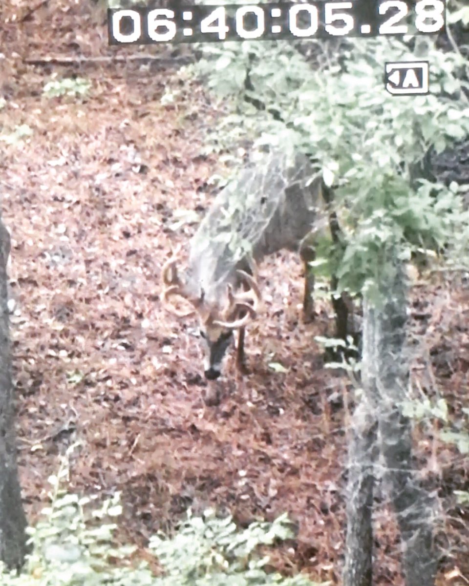 Red Rising TV tweet media