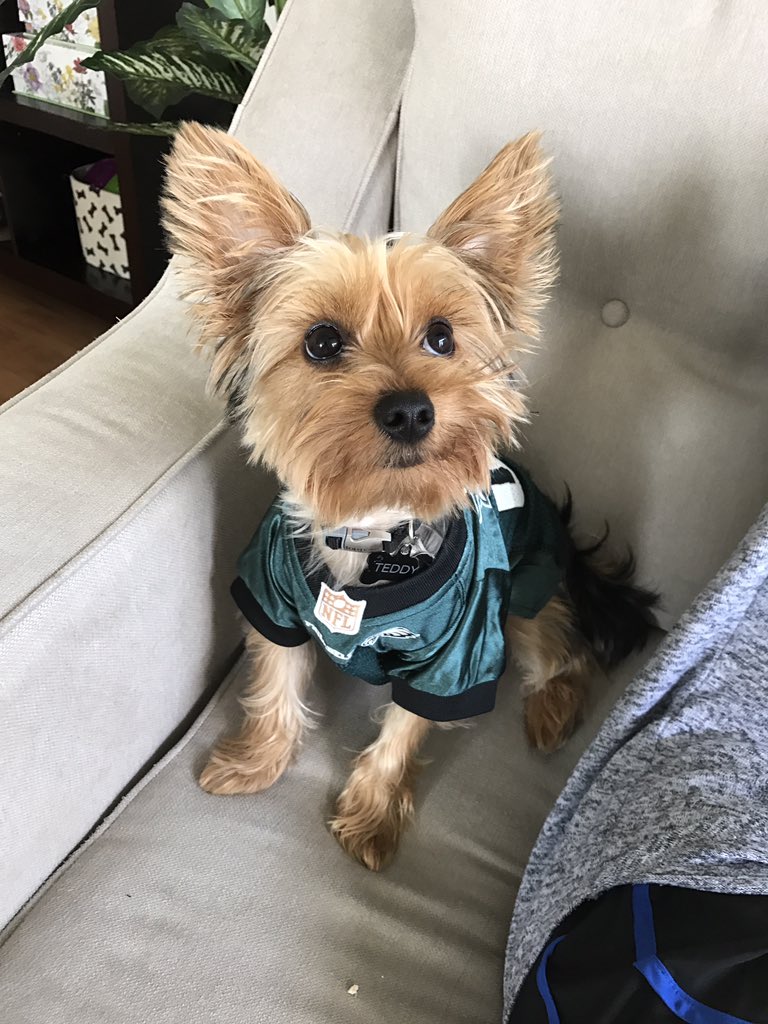 kvmadden's tweet photo. @tophermejia Teddy likes Kirk Cousins interceptions https://t.co/e8qkoOtfJS