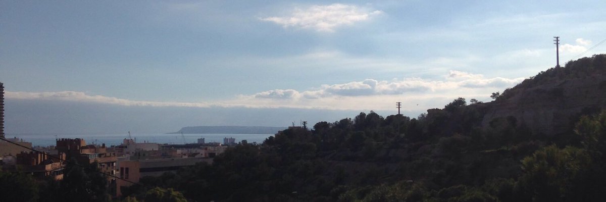 Las #IIJornadasPatrimonioMusicalHispánico tendrán estas vistas desde el <a href="/csmalicante/">CSM Óscar Esplá d'Alacant</a>. <a href="/iseacv/">Gva Iseacv</a>, <a href="/usal/">Universidad de Salamanca</a>, <a href="/CIDoM_UCLM/">CIDoM UCLM</a>  iijornadaspatrimonio.wixsite.com/iijornadaspatr…