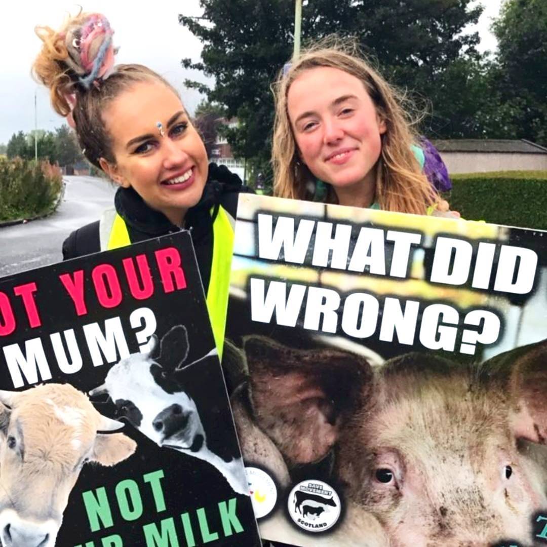 Save_Scotland's tweet photo. An amazing team of activists who inspire the world with compassion everyday.

Thank you to every one using their voice for justice ✊💚

🌍🕊️ https://t.co/QYQps6PxFW