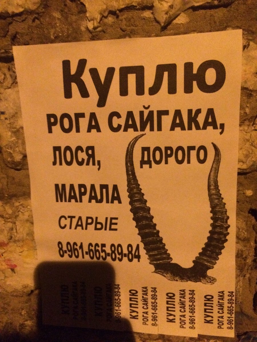 Nast_BelyeV's tweet photo. https://t.co/s4R5vvNXCW