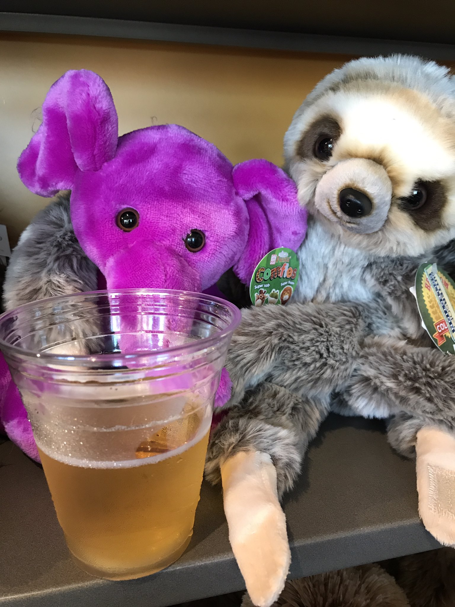 Jesse Cox on Twitter "Cox n crendor in the giiiiift shop! zoodrinking…