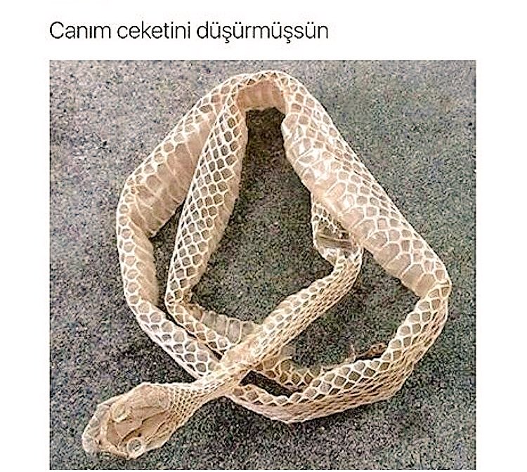 Ahshshsjwkskçwzjahaksnsj