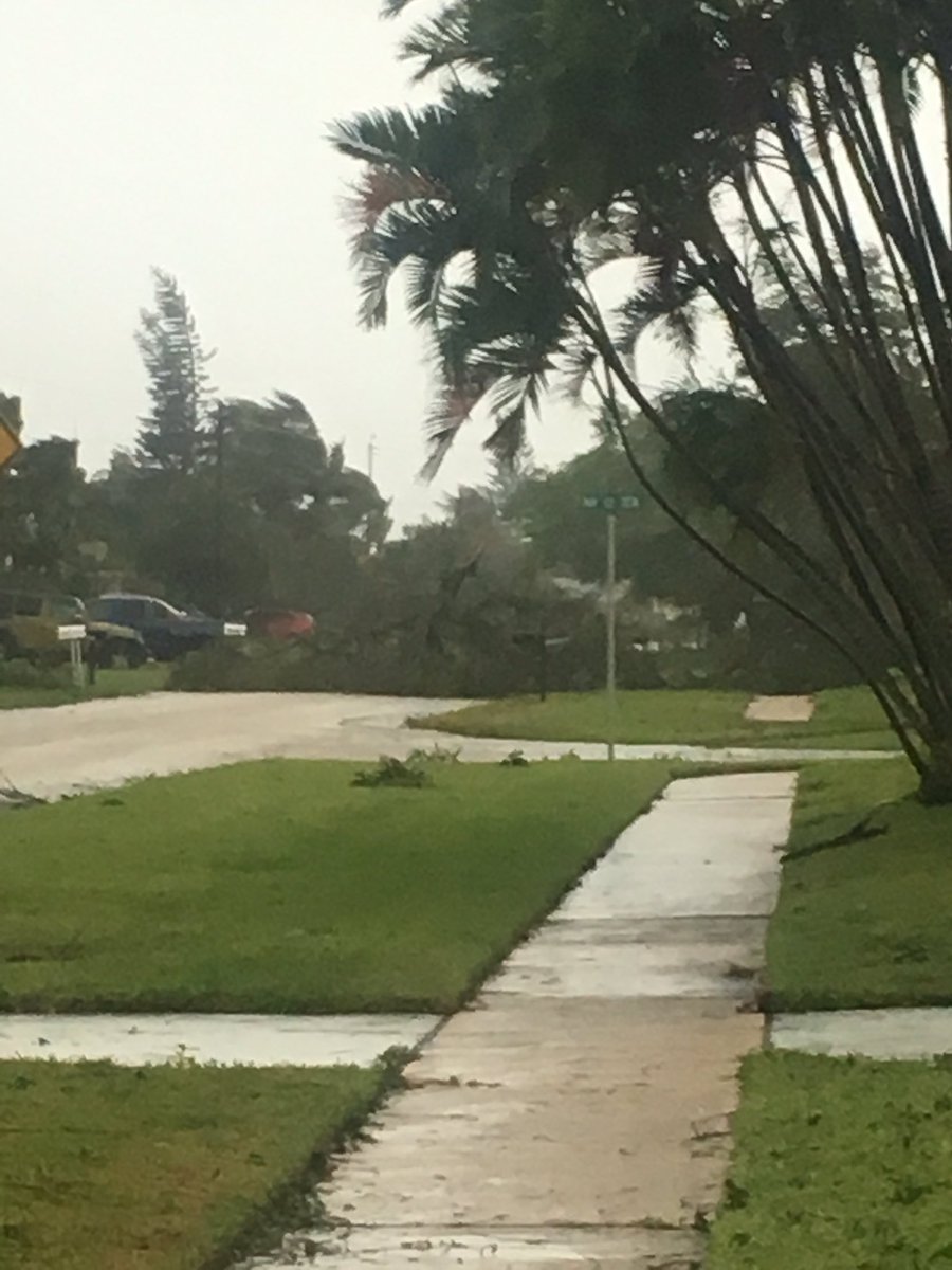Ryanroy's tweet photo. #FPL tree down transformer blew near 1250 NW th street Boca Raton 33486 https://t.co/mHYG3L12Pt
