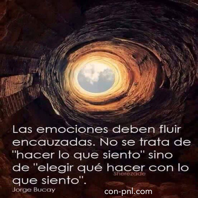 solucionespnl's tweet photo. Observa tu emoción, no siempre sale de tu corazón. 
#observar #emoción #salir #corazon #fluir #encausar #sentir #elegir #coaching #pnl #ir https://t.co/pUn4Hz9chy