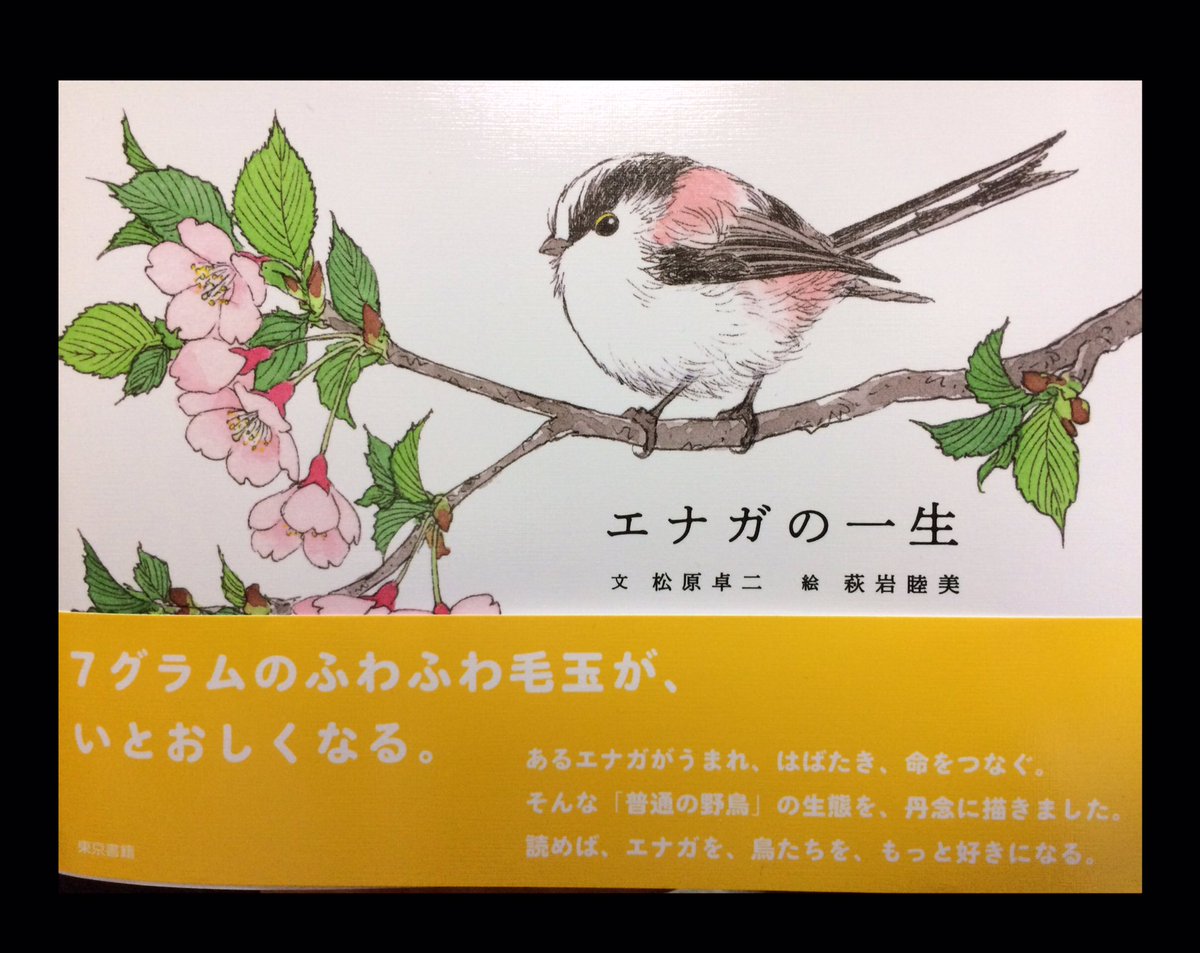 Sewelliae 萩岩睦美先生の個展に行ってきました 素敵可愛い鳥たちの原画に囲まれて至福の時でした 萩岩テイストな可愛らしいイラストから リアルに美しい作品まで盛りだくさん Hagiiwa Hagiiwa 萩岩睦美鳥絵展 萩岩睦美 エナガの一生