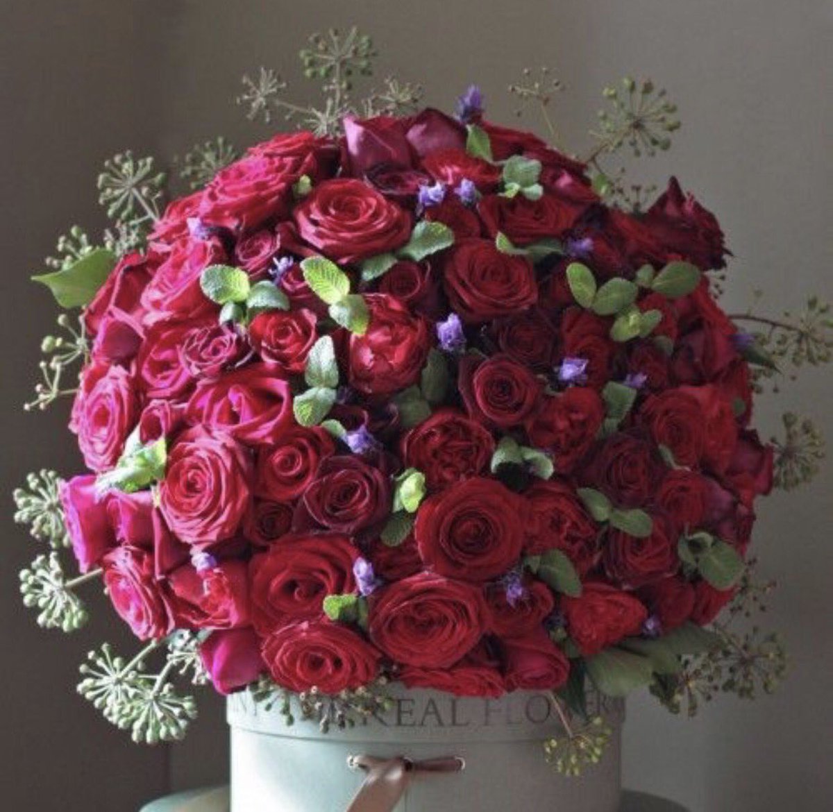 From the man who once said he 'didn't do hearts and flowers' <a href="/Christian50WR/">Christian Grey</a> , You have out done yourself. I love you and our family so much.