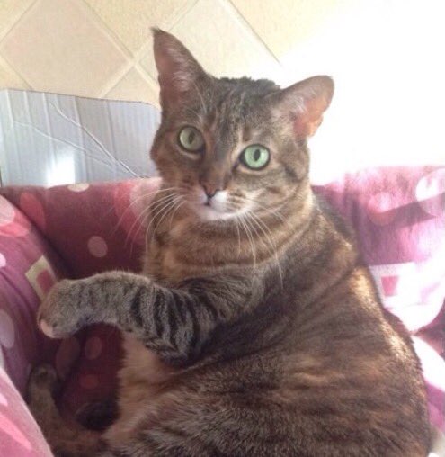 IlaBelieve's tweet photo. mi manchi, non sai quanto https://t.co/qij6FOfPOU
