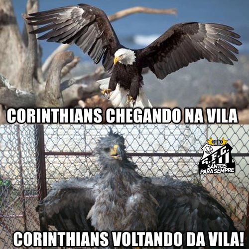 Vitoorlisboa_'s tweet photo. @vitor_bollzan  https://t.co/psOcTncy8d
