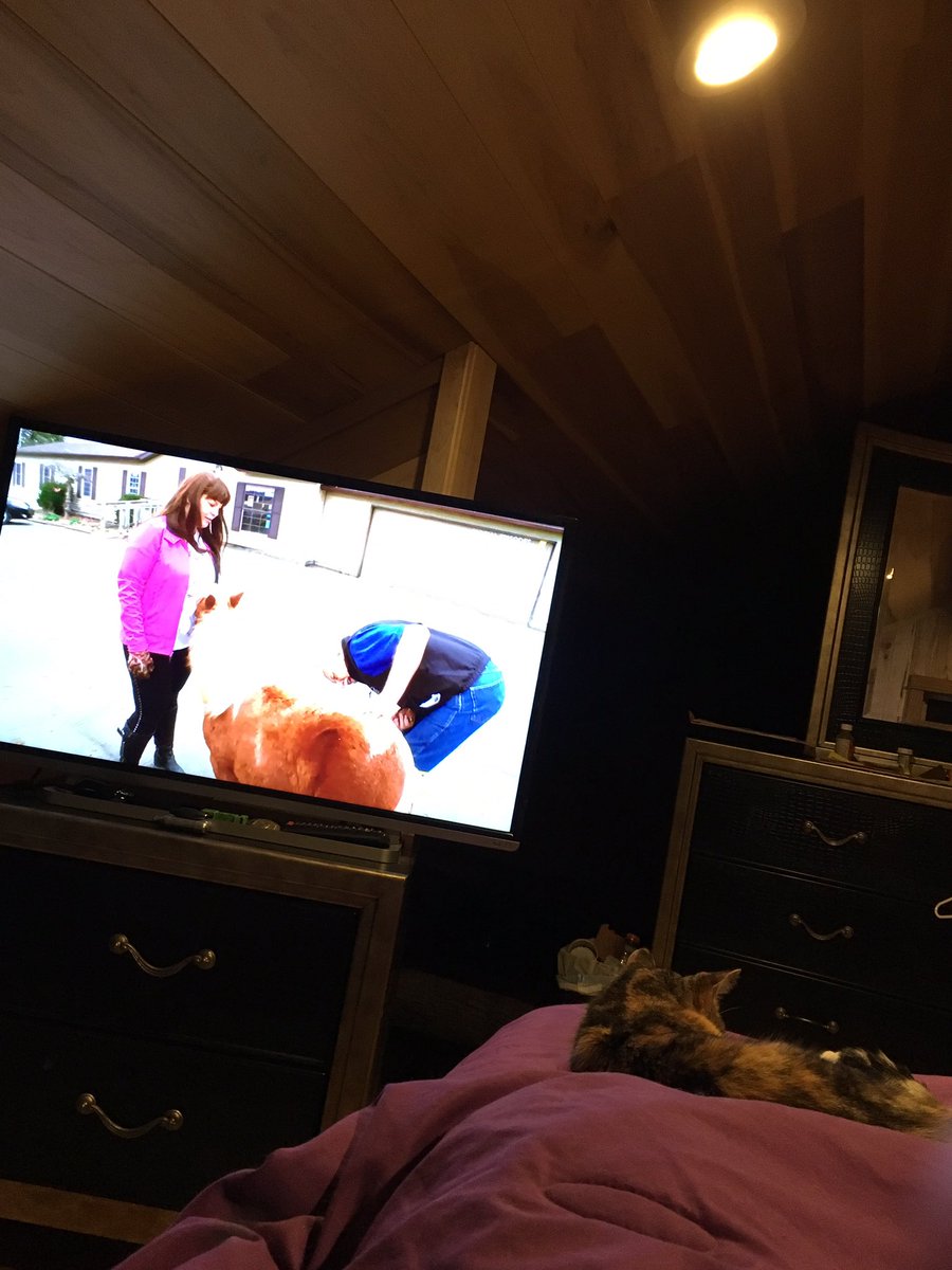 Lynn20Nichole's tweet photo. Watching @CallingDrPol relaxing. https://t.co/uRqShUVi55