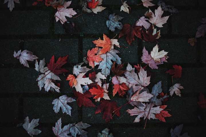 - اللهُم يالطيف ألطف بنا ، ألطف لنا ، قدّر لنا من ألطافك الرحيمة ماتقوّم به عِوَج نفوسنا وتهدي به ضال قلوبنا وتجمّل به شعث حياتنا ✨ .