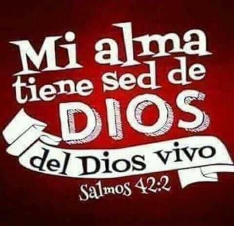 GerreraDe's tweet image. 