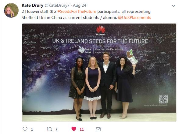 UoS Placements tweet media