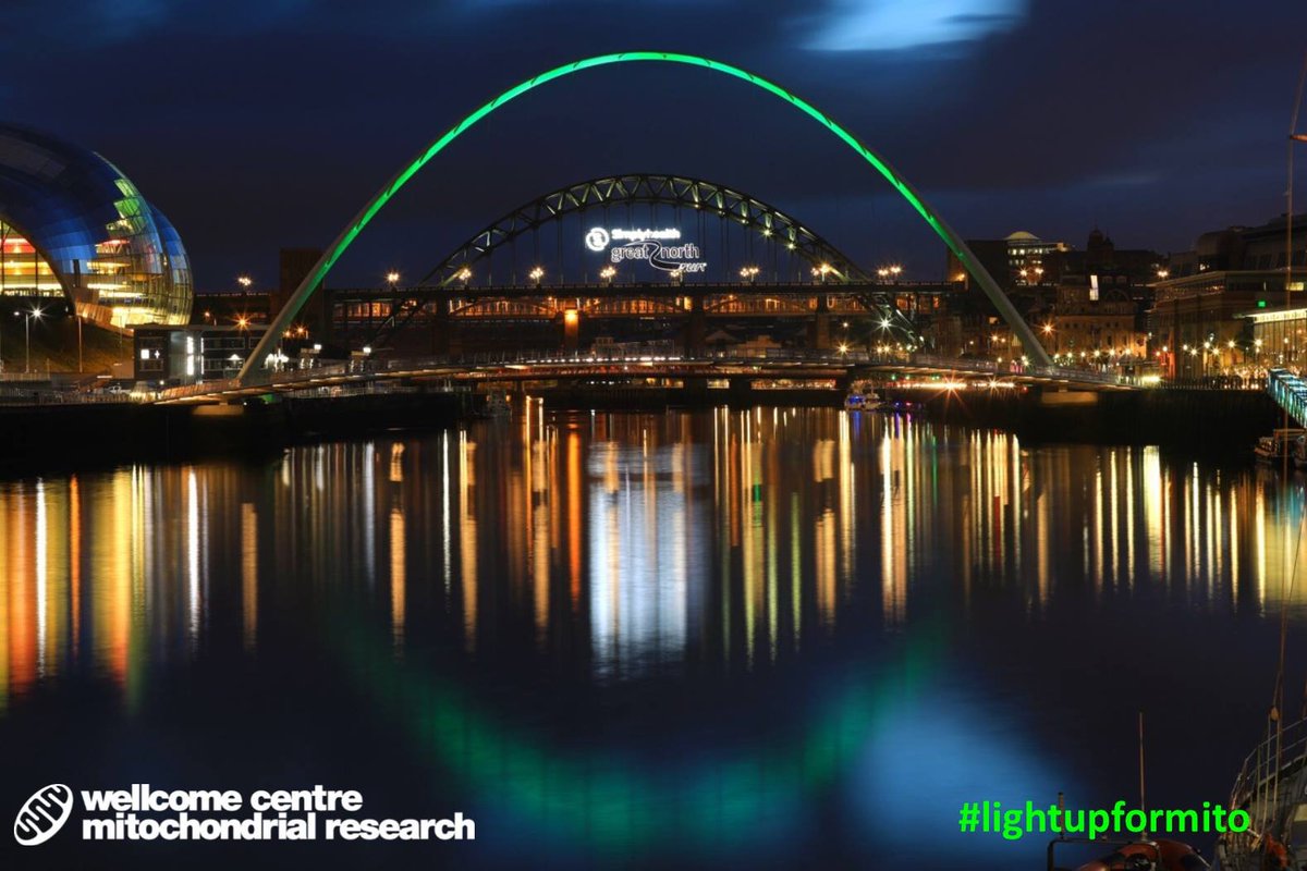 valence_art's tweet photo. Its mitoawareness week! Come to our exhibition @VaneGallery 20-30th September to learn about mitos @4Lilyfoundation #lightupformito https://t.co/ayv3kOv9fH