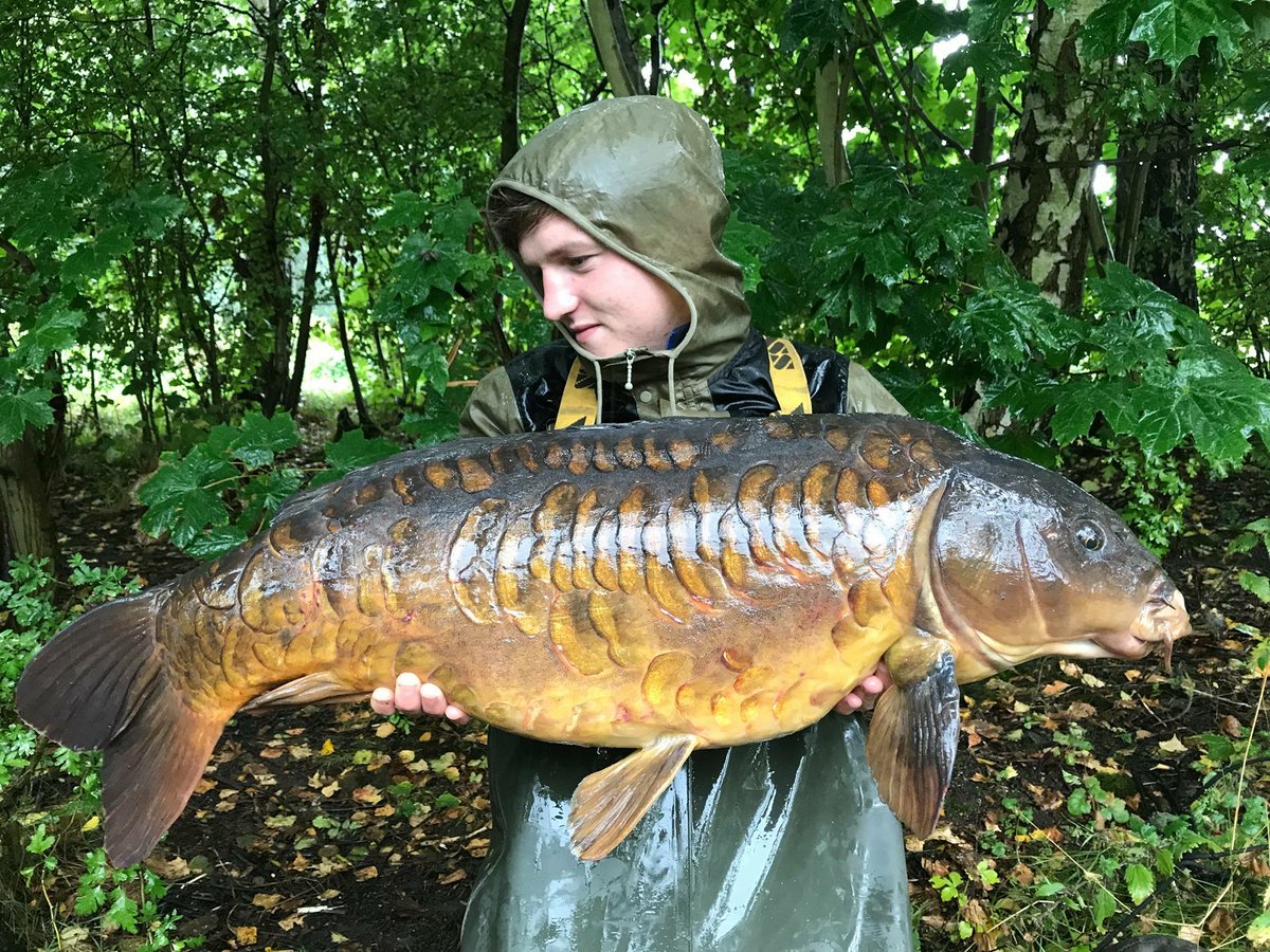CoreBaits_uk's tweet photo. **Target fish success**
Kale with an absolute beauty and one of his target fish from his local water, CB4 pop up chod rig #CB4effect #CB4 https://t.co/l1YDSwbpwT