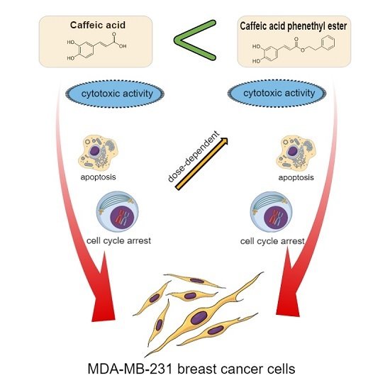 Molecules_MDPI's tweet image. Comparison: CA and CAPE Induce #Apoptosis and #CellCycleArrest of MDA-MB-231 mdpi.com/1420-3049/22/9… #breastcancer #Propolis