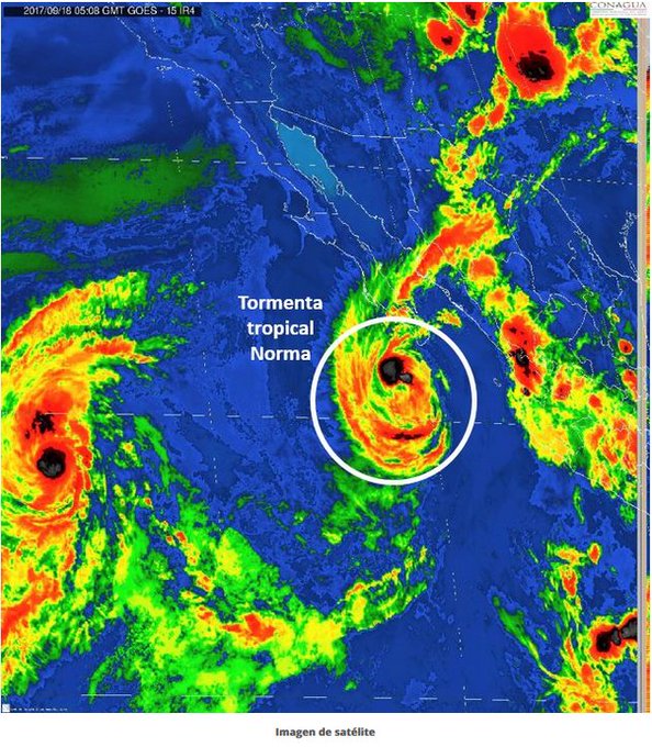 Ver imagen en Twitter