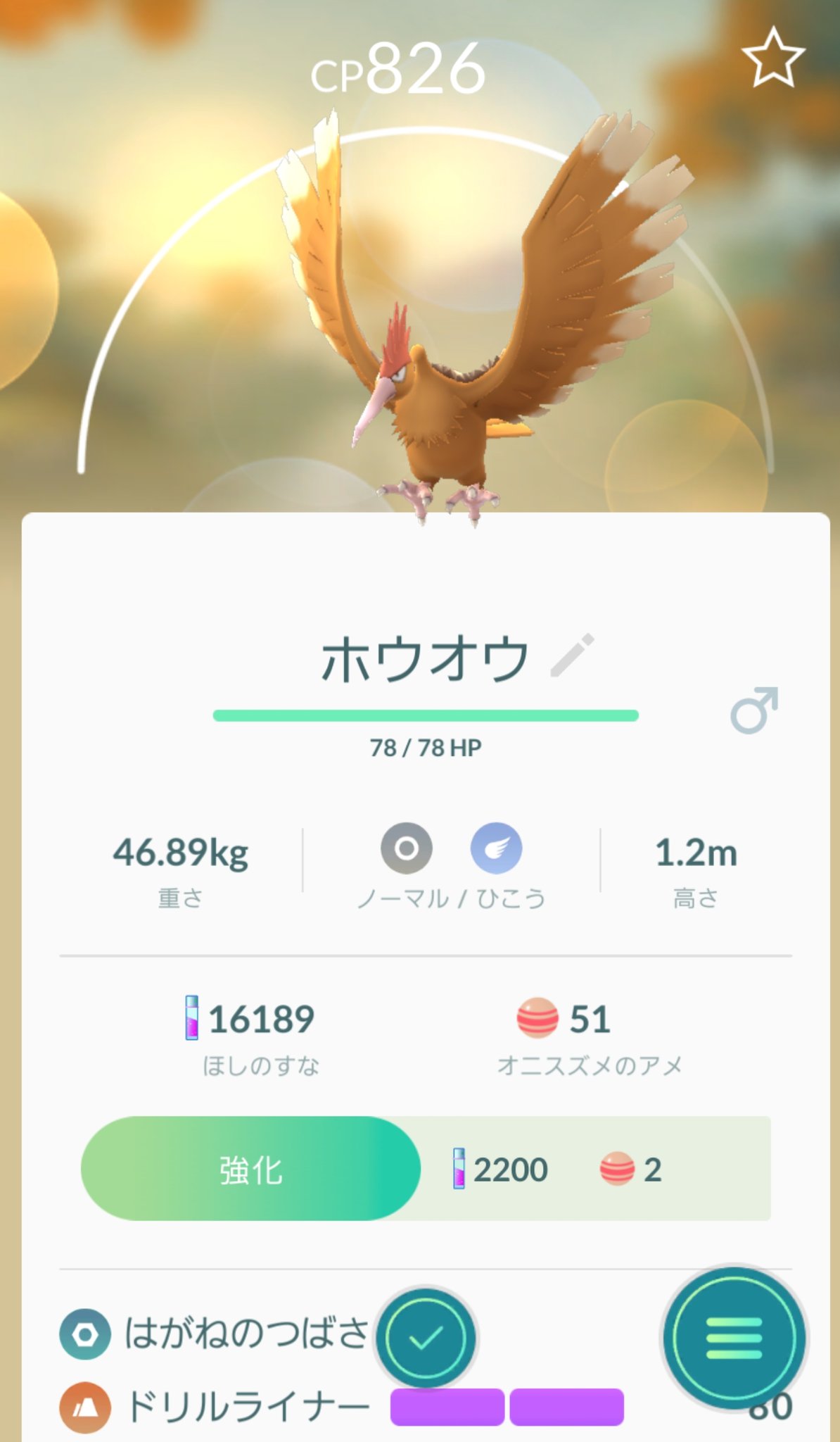Cabo No Twitter なんか 思ったよりカッコ悪いし弱い ポケモンgo ホウオウ オニドリル 大切にしたくなる T Co Nbwhlvfech Twitter