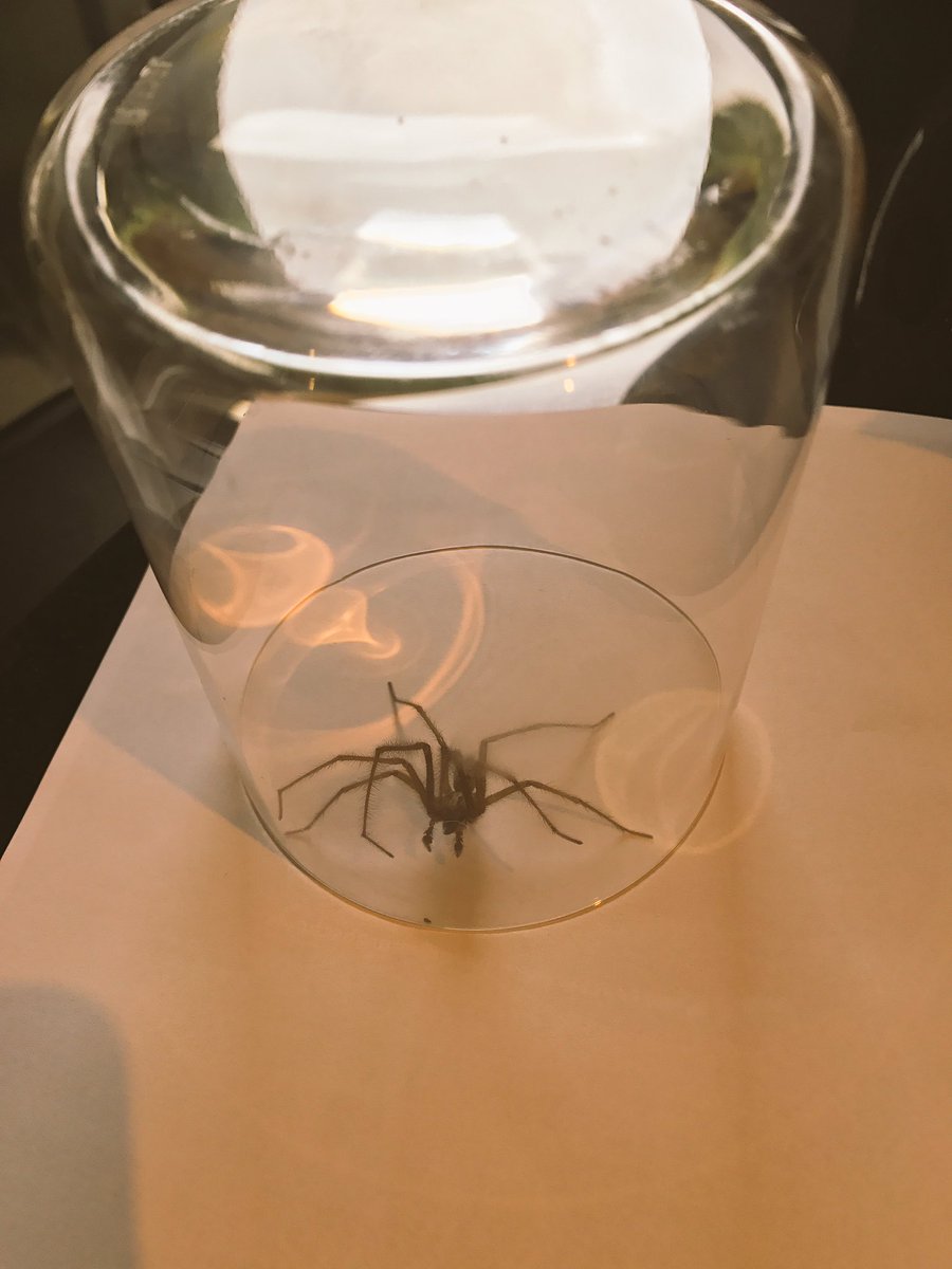 I am a strong, independent woman. Also, thanks very much to my husband for dealing with this so I could go through the door it was blocking.