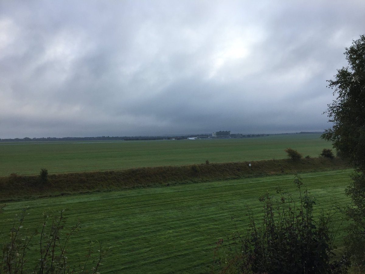 mattpaynter's tweet photo. Early morning dog walk at HQ!! #pituresque #localboy #roots https://t.co/MEEmaINVIg