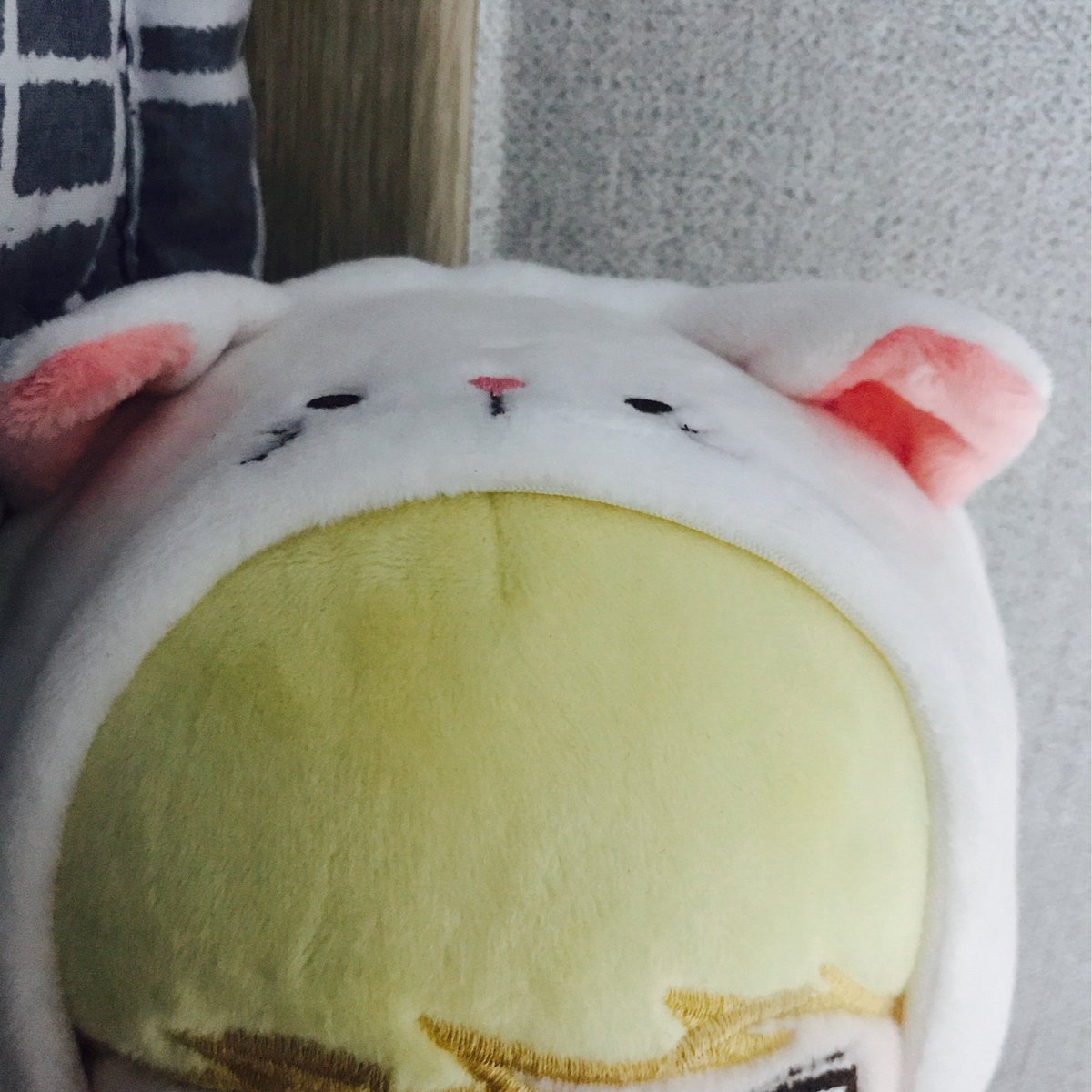 SVTJUN_CAT2's tweet photo. 170918 #휘냥이 @svtjun_cat
핑쿠.jpg https://t.co/VJoCBCigH2