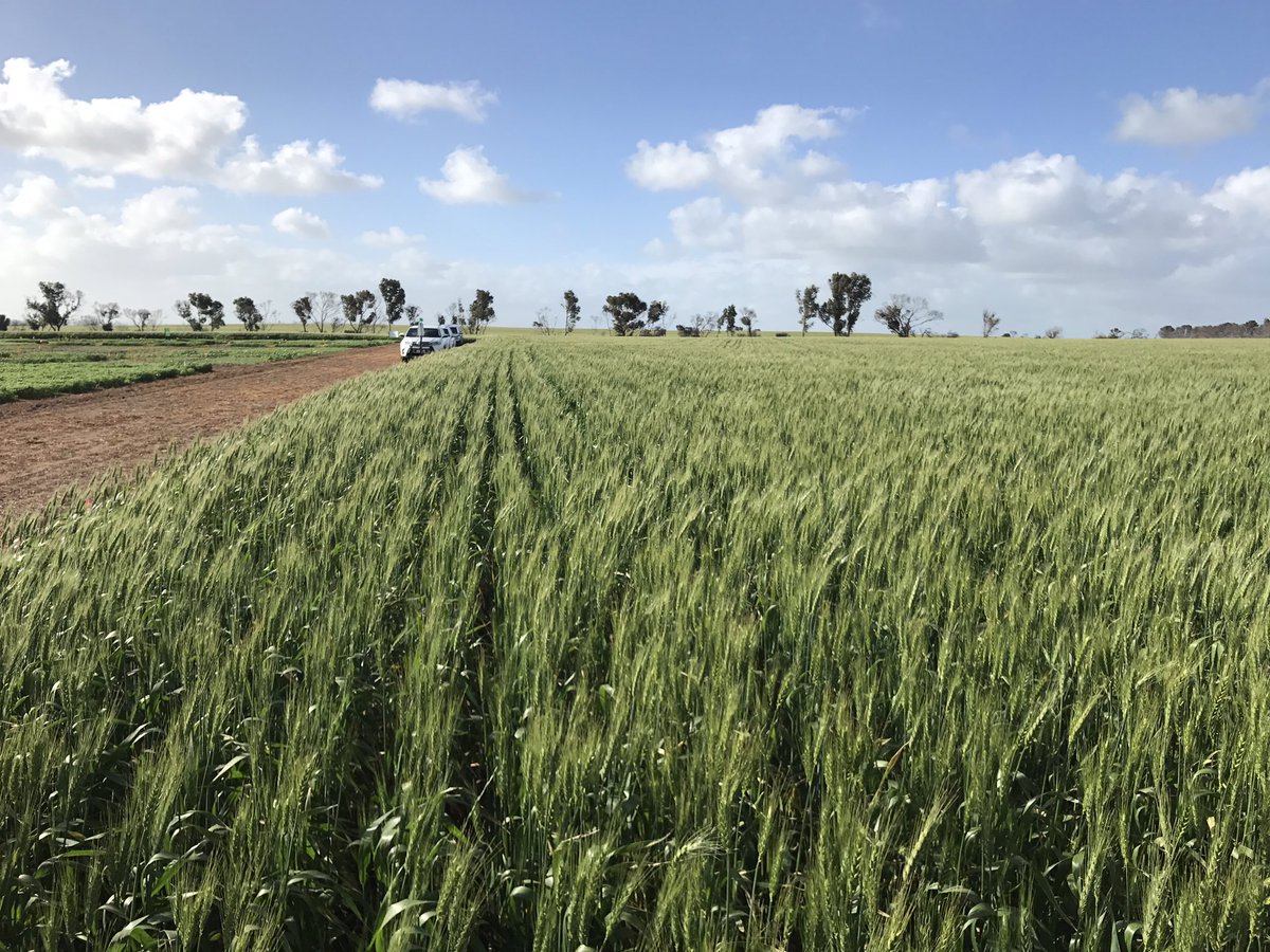 Adama Solutions Site #Adama