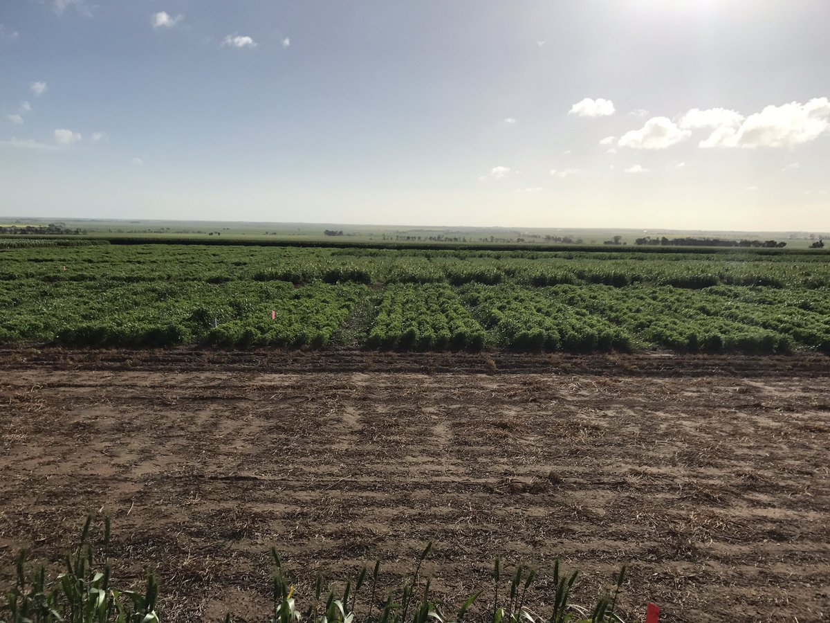 Adama Solutions Site SA.