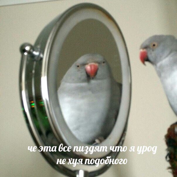 DJ_c8o1WsAAJBYh.jpg