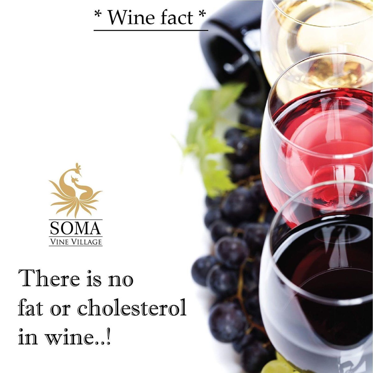 There is no fat or cholesterol in wine! Yes, it is true!!! #winefact #winemonday #wine
#MondayMotivation #MondayBlues