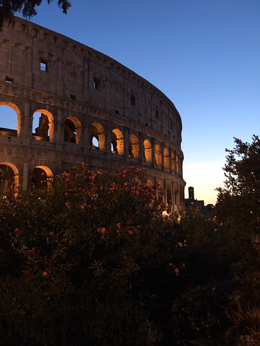#mydailyrome #rome #roma #colosseo #colosseum @Roma__Go @mydailyRome my best shot of the colosseum I think?
