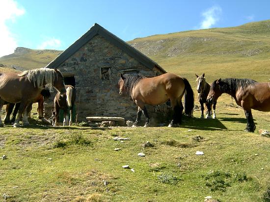 Annuaire du tourisme tweet media