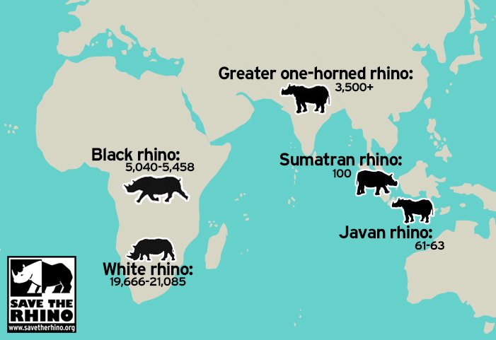rhinoprotect's tweet photo. The distribution of the remaining #rhino left in the world. Most of the rhinos left are in #SouthAfrica. #Save the https://t.co/emNqKfTPdT https://t.co/ewPpQFlw1F