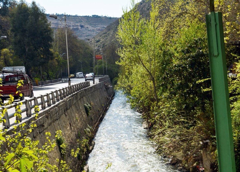 قالوا تحبُّ الشامَ قلتُ جوانحي
مقصوصة فيها ، وقلتُ فؤادي !
===
هذه دمشقُ فجر التاريخ ، وصانعة الرجال...