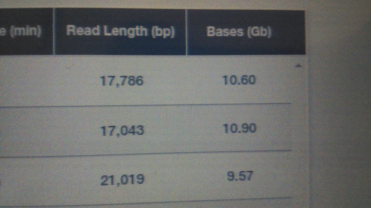 tweakyaustin's tweet image. #livingthedream