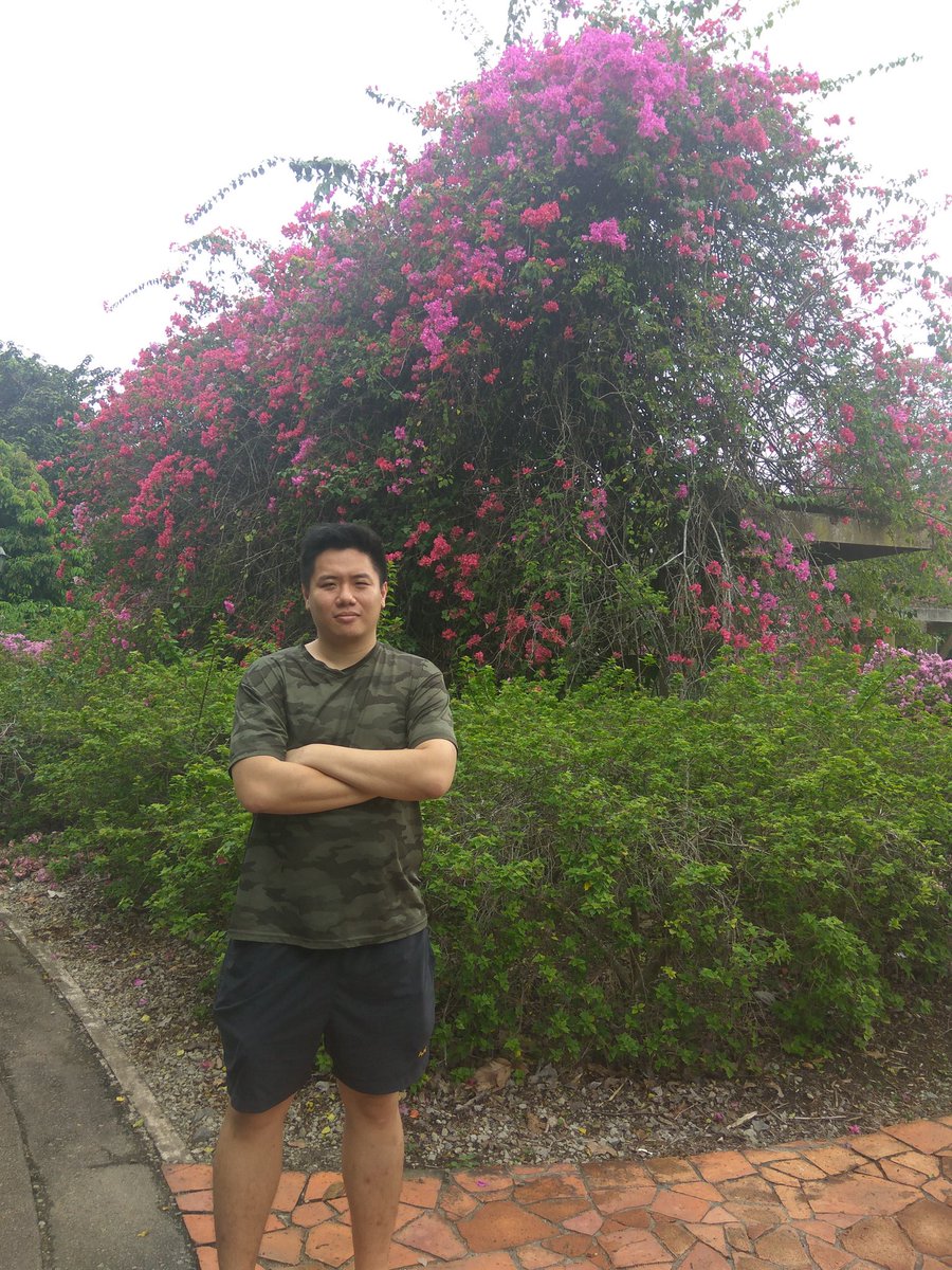 KimKim2905's tweet photo. color of life peace and happiness.! https://t.co/jhg0CaMym9