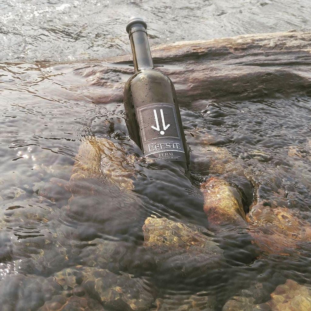 bisicoder's tweet image. Putting the river to good use! #wine #friends #labordayweekend ift.tt/2wjReB5