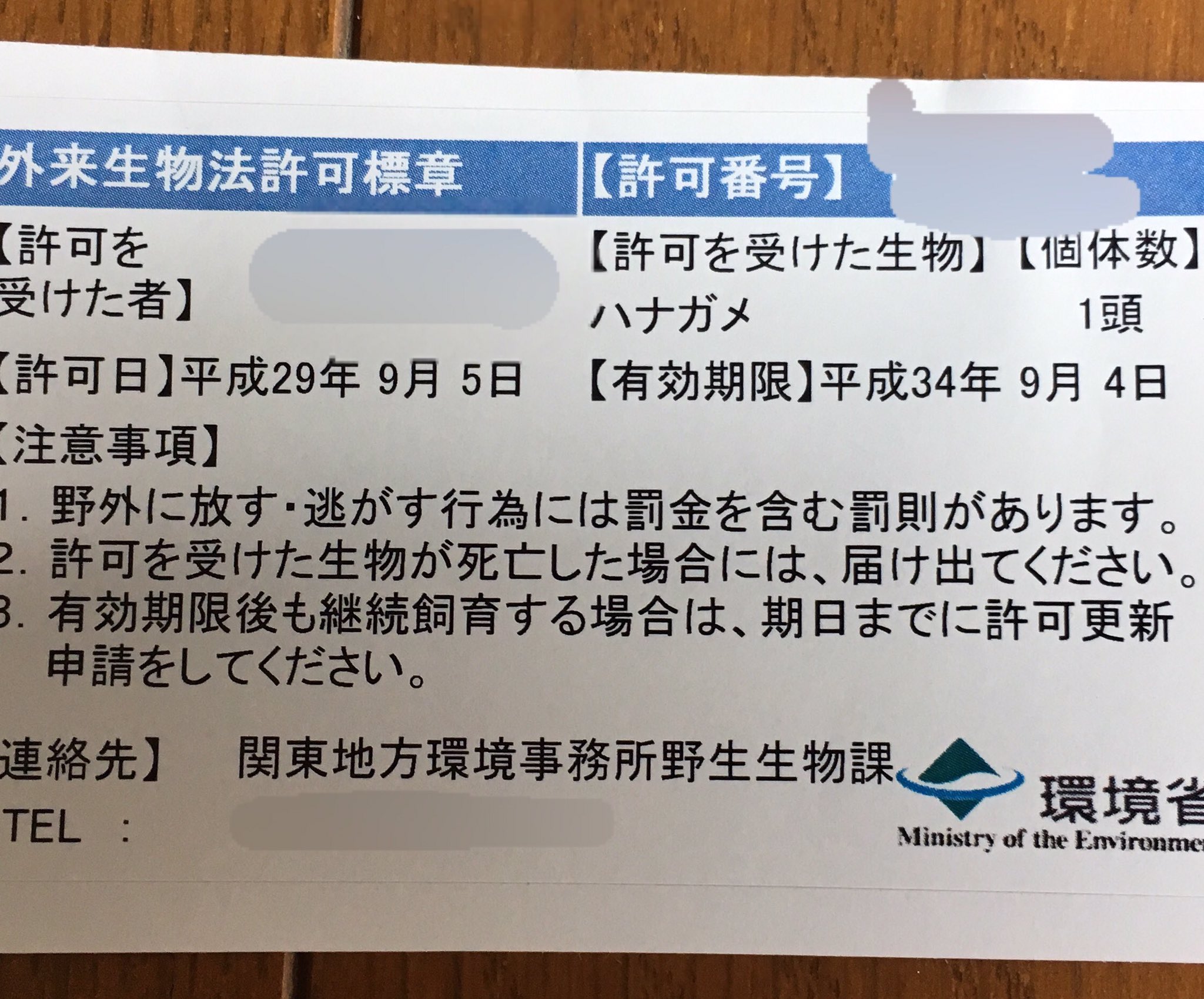 こりく007 特定外来生物 飼育許可証 が届きました ハナさん 良かったね お祝いに海老を差し上げるよ あぁ カメ吉ィ ドサクサに この子は どうなるんだろうか 産まれた時から 育てられ この子達は 人を信頼してる 絶対飼育禁止は勘弁