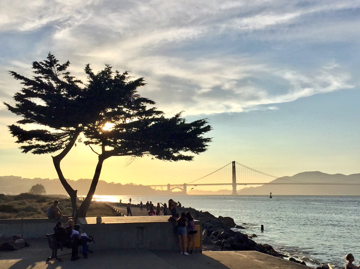 Madan Chopra tweet media