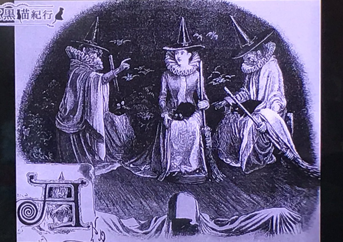 ヨーロッパ黒猫紀行