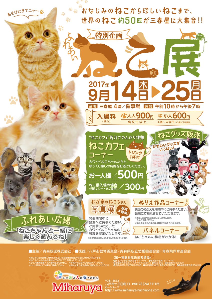 三春屋 En Twitter ふれあいねこ展 を１４日 木 から開催 おなじみのねこから珍しいねこまで 世界のねこ約50匹が大集合 ふれあい広場 ねこカフェコーナー ねこグッズコーナー などをご用意しております 期間 9月14日 木 25日 月 まで
