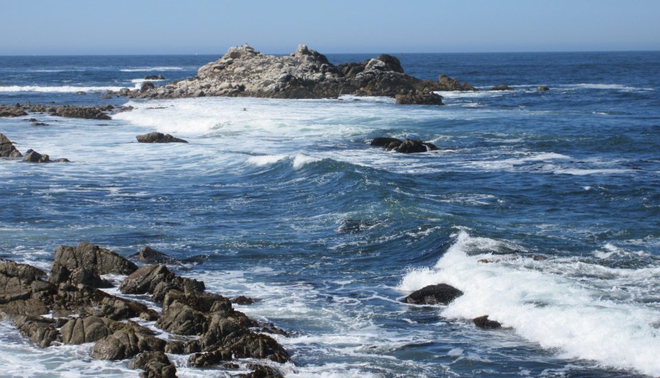 SeedWorldEU's tweet photo. Today marks the start of @ISSS_2017. We'll be in Monterey, CA all week to give you the highlights! #ISSS_2017 https://t.co/7L8RECK8UZ