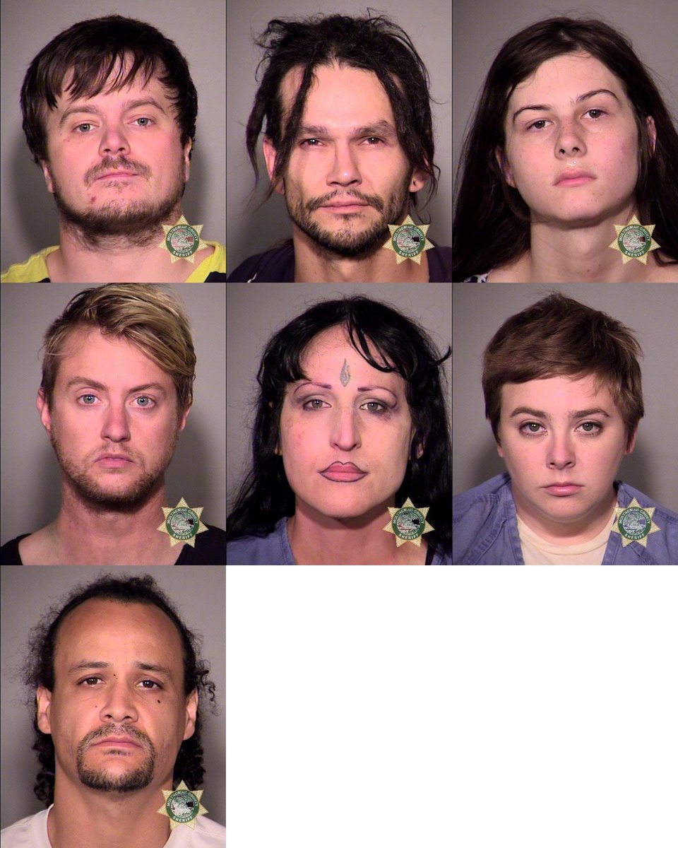 Seven AntiFA terrorists arrested in Portland